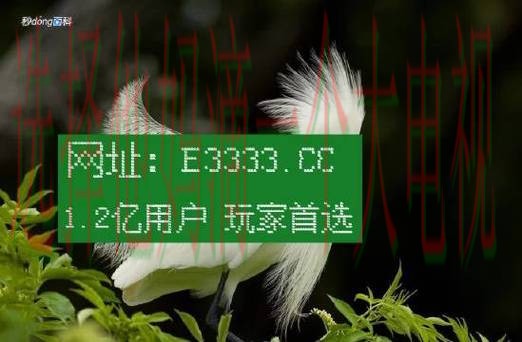 凯时娱乐下载链接全攻略指南 凯时娱乐下载链接全攻略指南