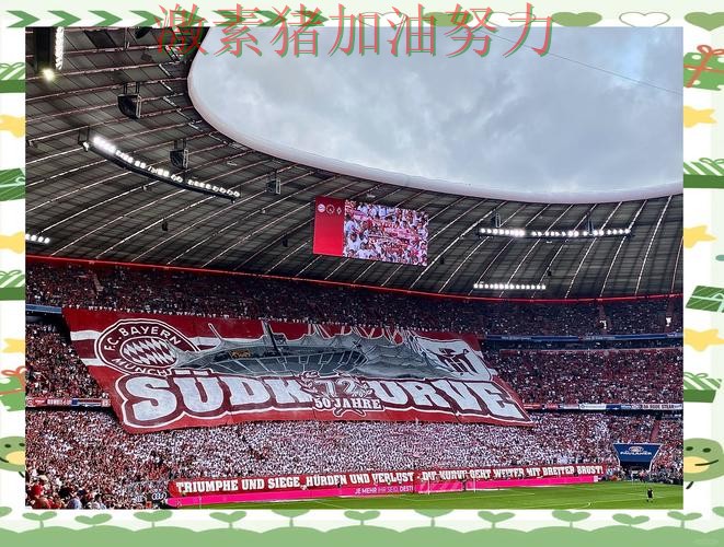 拜仁更衣室氛围成焦点